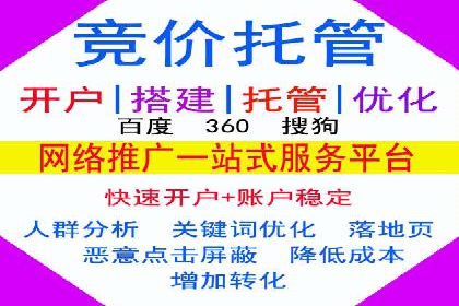 搜索引擎营销（SEM）公司某某的客户成功故事